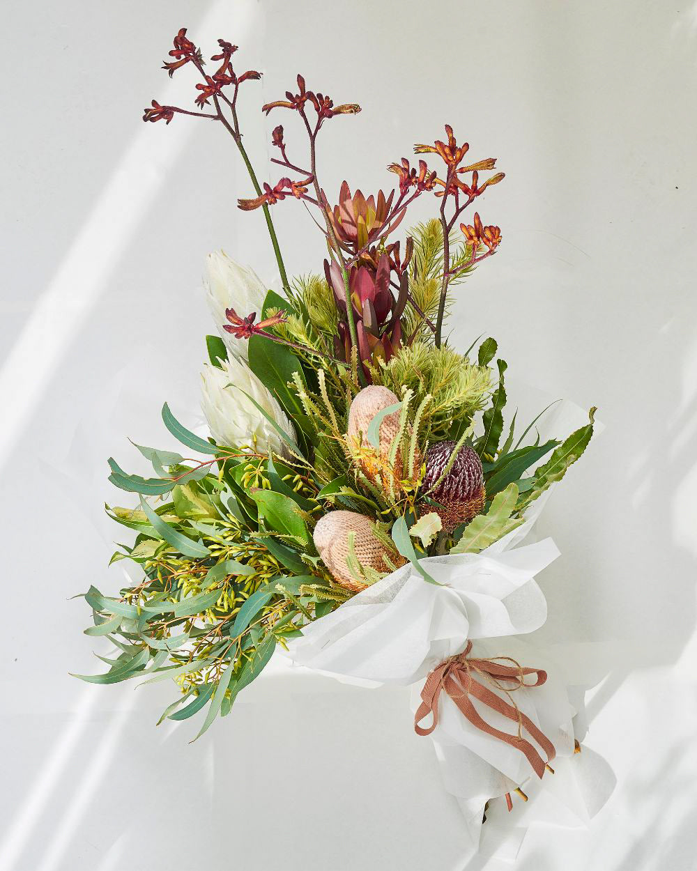 Kangaroo Paw and Banksia
