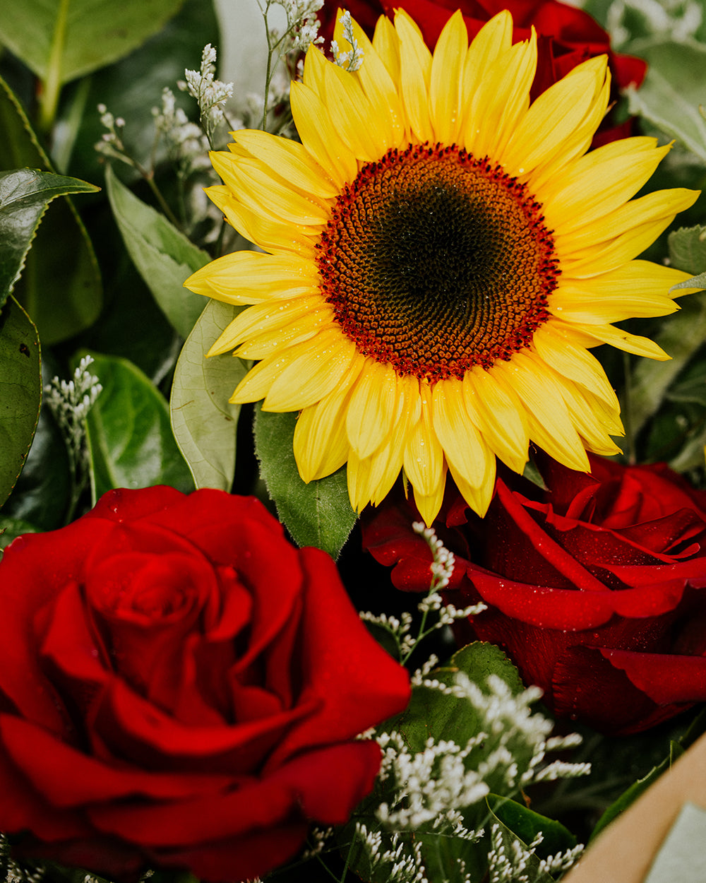 You are my sunshine - Sunflower and Rose