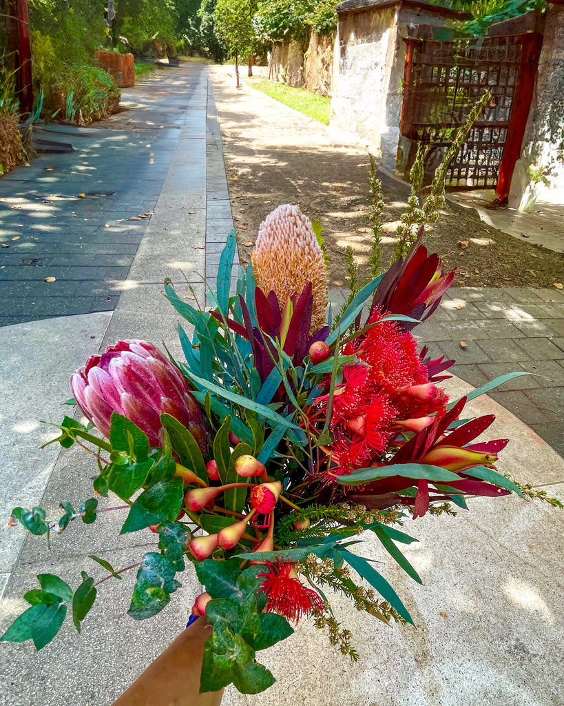 Caring for your Native Australian Flowers