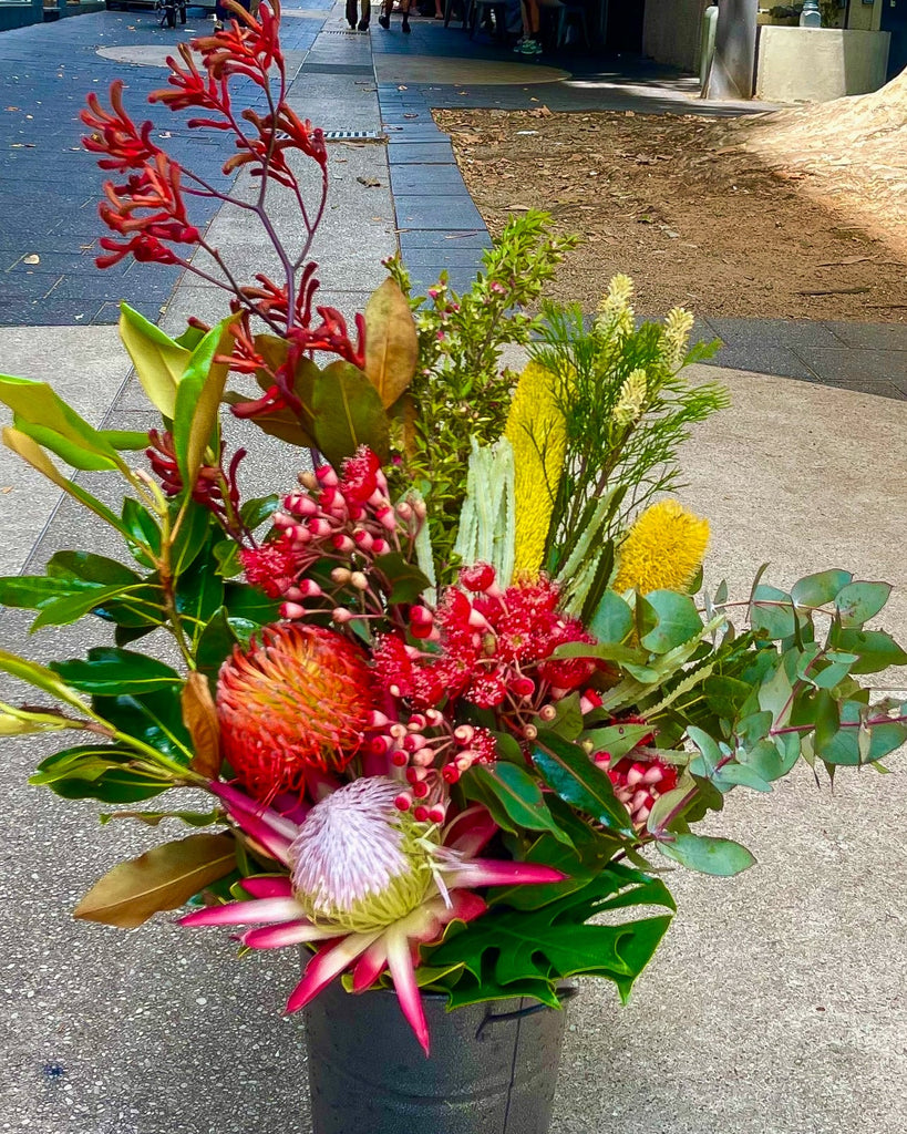 Embrace the Wild: Discovering the Beauty of Australian Native Flowers