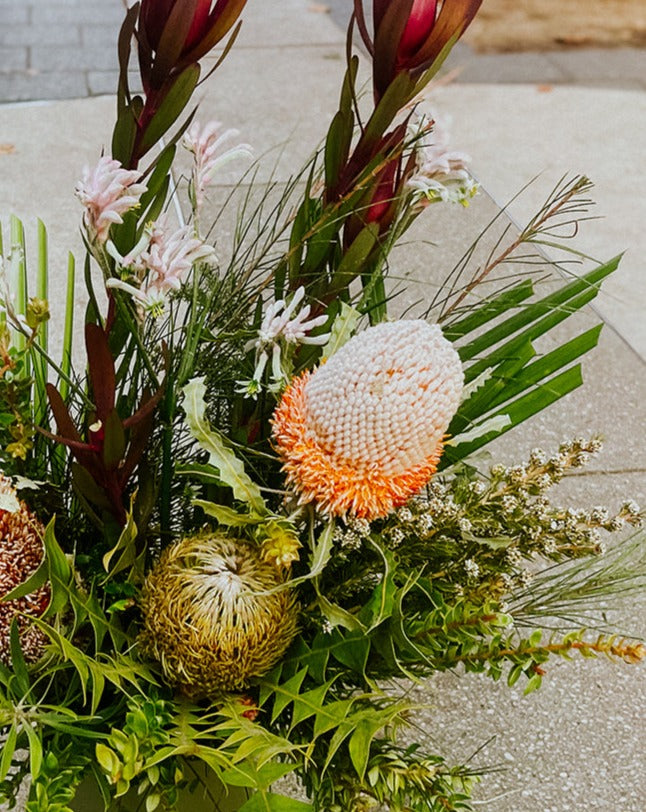 Aussie Bushland Bloom