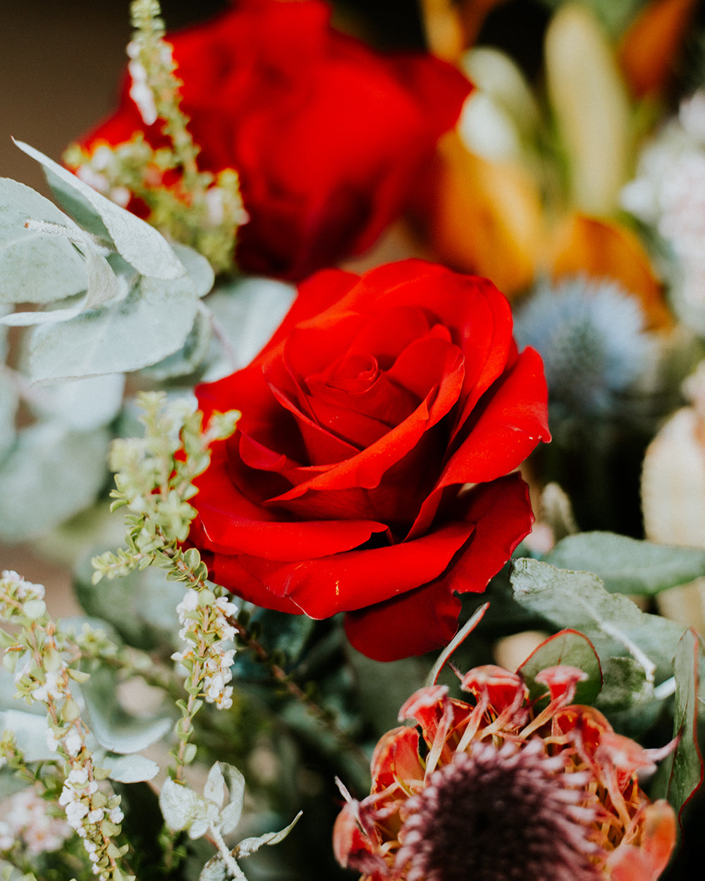 Australian Romance - Red Roses & Native Florals