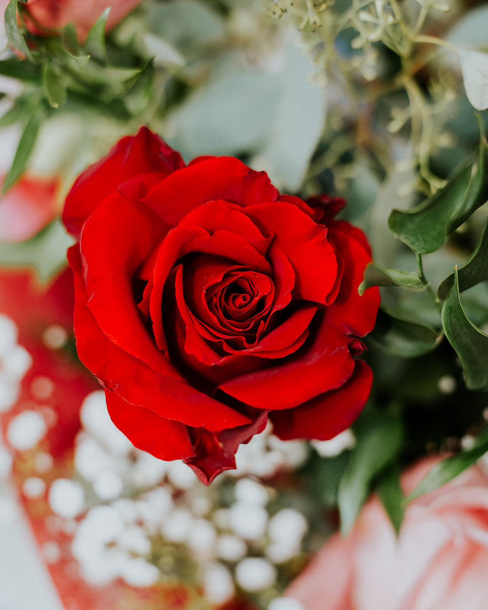 Valentine's Radiance - Mixed Roses & Baby's Breath